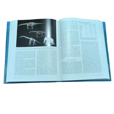 Dinosaur Tracks | Full Color Hardcover Textbook Printing Service with Smyth Sewn Binding by Our Professional Team