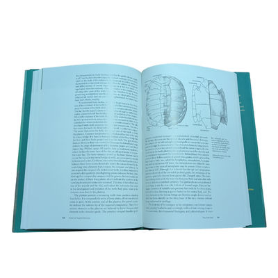 Glossy Art Paper Textbook Printing Service Turtles As Hopeful Monsters With 4C/4C Printing Color for Inner Pages