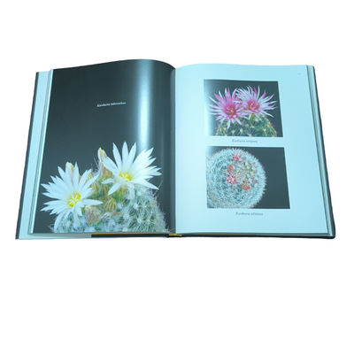Desert Jewels  Customizable Full Color Glossy Art Paper Printing For Coffe Table Book Printing With Matte Lamination